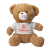 Custom Promotional Teddy Bear with Company Logo