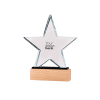 Custom Star Crystal Trophy
