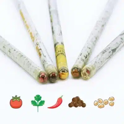 Plantable-A-Pencils-Set-Back-to-School-Merchandise-Merchlist-Custom-Printed