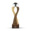 Custom Wooden Crystal Trophy