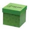 Custom Printed Desk Memo Cube Merchlist_Green