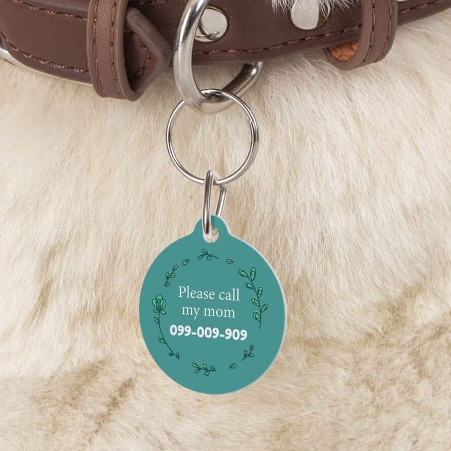 Custom Dog Tags with Phone Number Merchlist