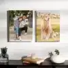 Custom Printed Canvas Photo Frame Prints Pet Portrat Merchlist