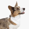 Custom Printed Pet Dog Bandana Scarf Merchlist 4