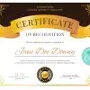 Custom Printed Recognition Certificate Merchlist