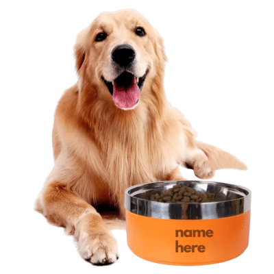 1.0 Main Custom Printed Pet Food Bowl Merchlist Add Your Pet Name to Custom Food Bowls