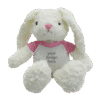 1.0 Main Custom Printed Rabbit Plush Toy Merchlist Add Your Design or Logo to Custom Plush Toy