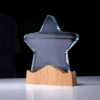 Custom Printed Star Shaped Wooden Trophy Merchlist Add Your Design or Logo to Custom Wooden Trophy 1