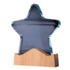 Custom Printed Star Shaped Wooden Trophy Merchlist Add Your Design or Logo to Custom Wooden Trophy 2