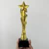 Custom Gold Star Appreciation Recognition Trophy Merchlist