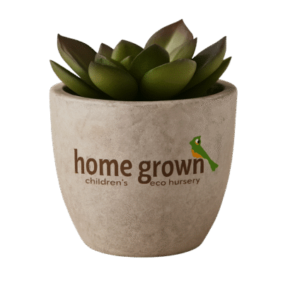 1. Main Custom Branded Decorative Artificial Plant Merchlist Print Your Name Design or Logo on Custom Plant