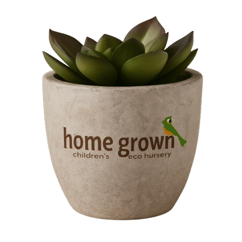 1. Main Custom Branded Decorative Artificial Plant Merchlist Print Your Name Design or Logo on Custom Plant
