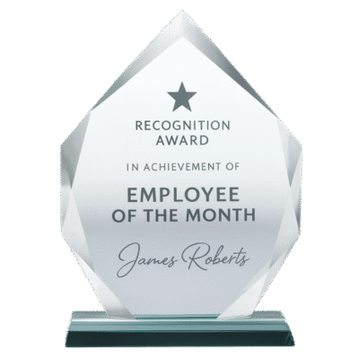 1. Main Custom Printed Iceberg Crystal Award Trophy Merchlist Great for Employee Awards, Achievement, Recognition