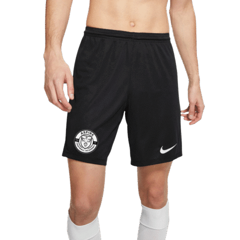 1. Main Custom Printed Nike Dri-Fit Park Shorts Merchlist Print Your Logo on Customn Nike Football Shorts