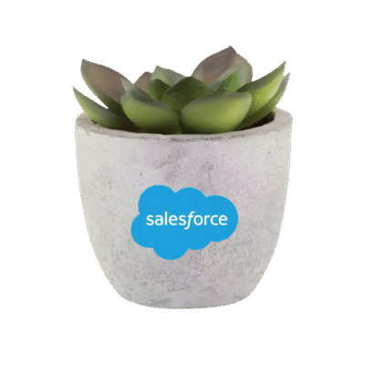 1.0 Main Custom Printed Decorative Artificial Plant Your Design or Logo to Custom Decorative Artificial Plant