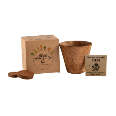 1.0 Main Custom Printed Marigold Seed Plantable Kit Add Your Design or Logo to Custom Marigold Seed Plantable Kit